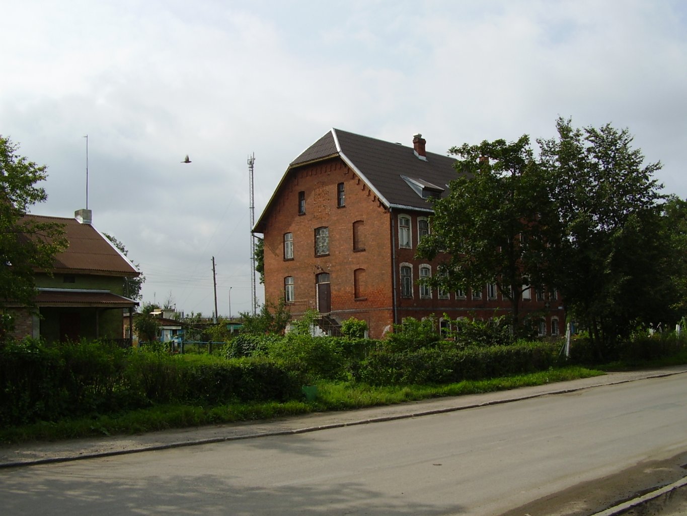 OLYMPUS DIGITAL CAMERA         